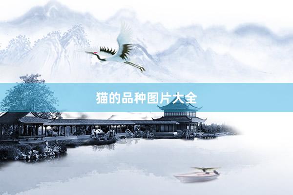 猫的品种图片大全