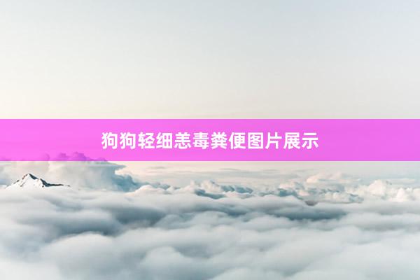 狗狗轻细恙毒粪便图片展示